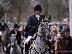 PoulaTo: 10 chronón Kfps Reg Friesian Mare